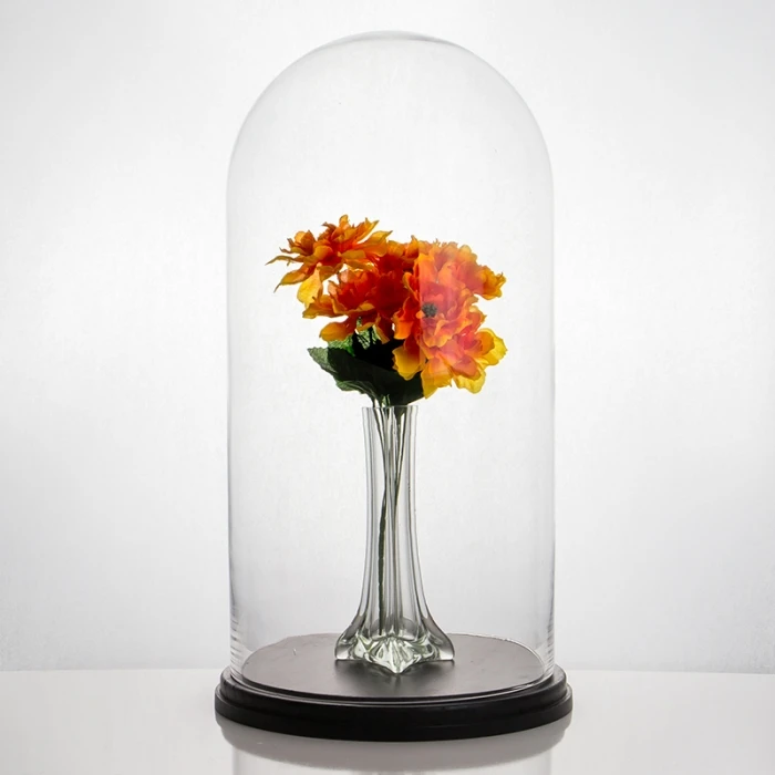Glass Cloche Display Dome With Black Wood Base, H-20" D-11" (Wholesale 2 PCS/Case) - Image 3