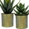 Corrugated Zinc Metal Cylinder Planter Pot, H-3" D-2.85" (Wholesale 72 PCS/Case)