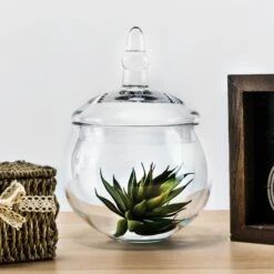 Glass Candy Buffet Apothecary Jar, H-10" D-5" (Wholesale 8 PCS/Case)