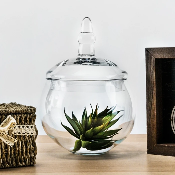 Glass Candy Buffet Apothecary Jar, H-10" D-5" (Wholesale 8 PCS/Case)