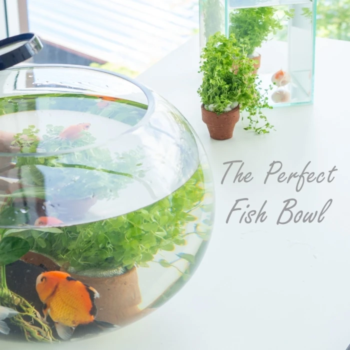 Glass Bubble Bowl, H-10.5" W-13.5" (Wholesale 2 PCS/Case) - Image 4