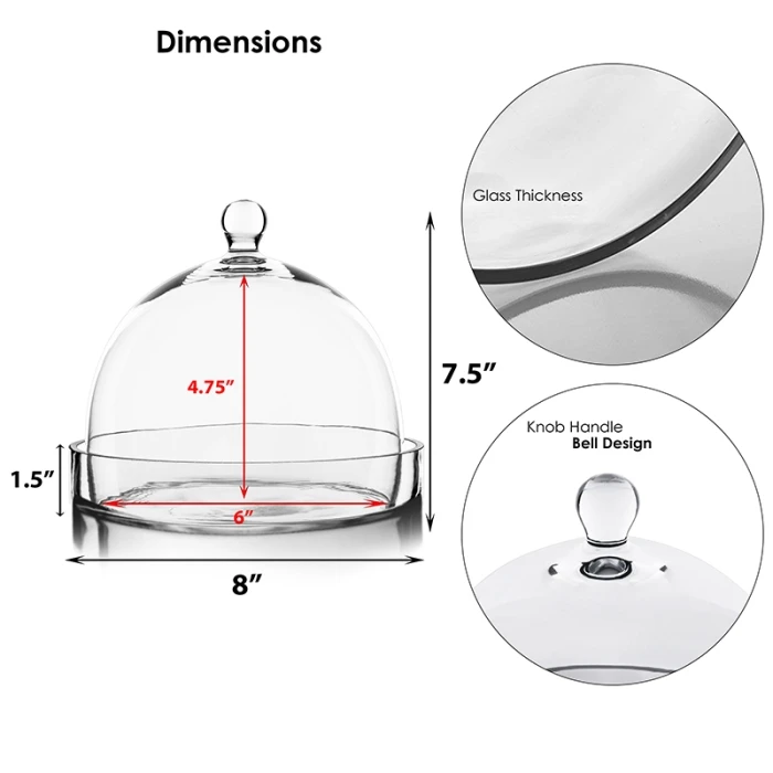 Glass Bell Dome Cloche With Glass Tray Base, H-7.5" D-8" (Wholesale 4 PCS/Case) - Image 2