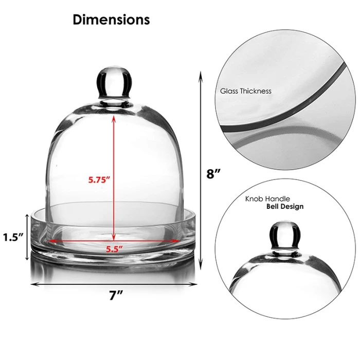 Glass Bell Dome Cloche With Glass Tray Base, H-8" D-7" (Wholesale 4 PCS/Case) - Image 2