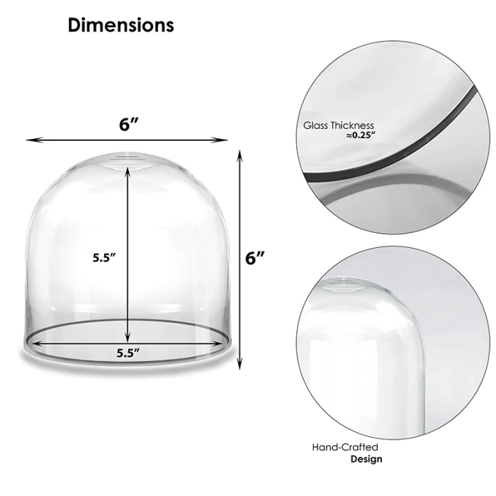Glass Cloche Display Dome, H-6" D-6" (Wholesale 8 PCS/Case) - Image 2