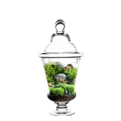 Glass Candy Buffet Apothecary Jar, H-17" D-6.5" (Wholesale 4 PCS/Case)