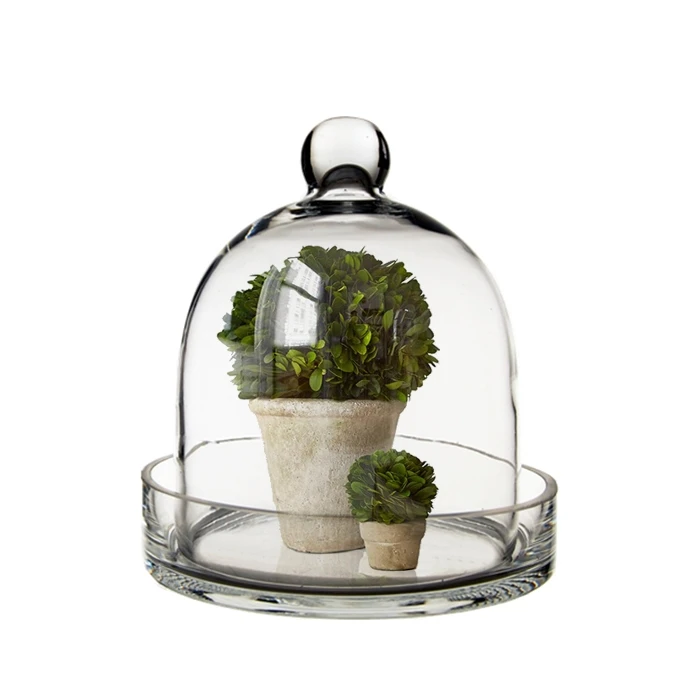 Glass Bell Dome Cloche With Glass Tray Base, H-8" D-7" (Wholesale 4 PCS/Case) - Image 5