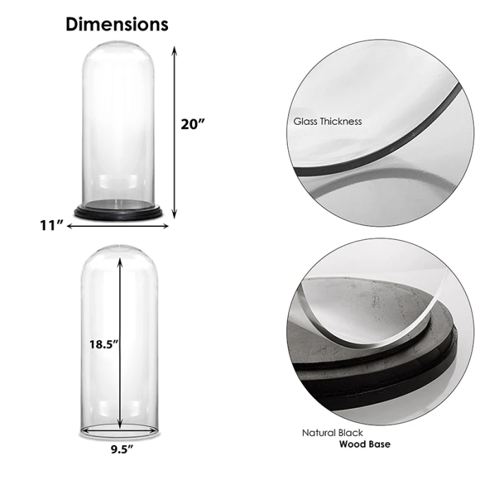 Glass Cloche Display Dome With Black Wood Base, H-20" D-11" (Wholesale 2 PCS/Case) - Image 2