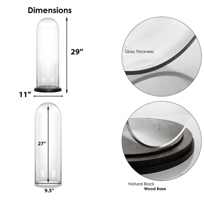 Glass Cloche Display Dome With Black Wood Base, H-29" D-11" (Wholesale 2 PCS/Case) - Image 2