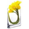 Glass Rectangle Round Edge Oval Vase, L-7"x W-1.75"x H-12" (Wholesale 6 PCS/Case)