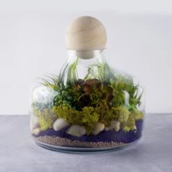 Glass Terrarium Vase With Wood Ball Stopper, H-12" D-10.5" (Wholesale 4 PCS/Case)