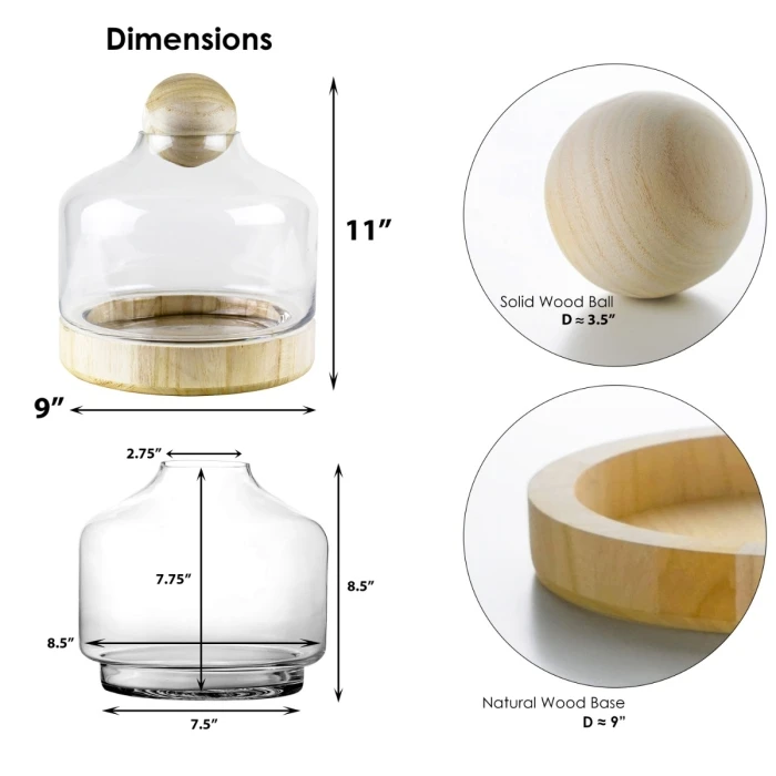 Glass Terrarium Vase With Wood Base And Stopper, H-11.5" D-9" (Wholesale 4 PCS/Case) - Image 2