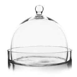 Glass Bell Dome Cloche With Glass Tray Base, H-8.5" D-10" (Wholesale 4 PCS/Case)