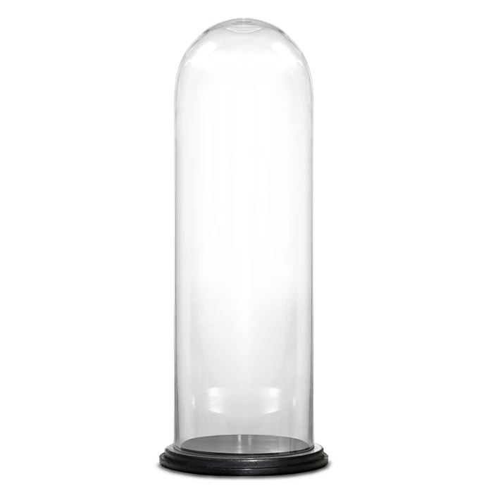 Glass Cloche Display Dome With Black Wood Base, H-29" D-11" (Wholesale 2 PCS/Case)