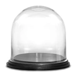 Glass Cloche Display Dome With Black Wood Base, H-7" D-7" (Wholesale 8 PCS/Case)