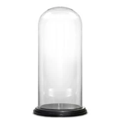 Glass Cloche Display Dome With Black Wood Base, H-15" D-7" (Wholesale 4 PCS/Case)