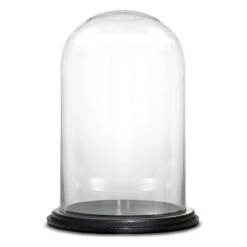 Glass Cloche Display Dome With Black Wood Base, H-15" D-10" (Wholesale 4 PCS/Case)