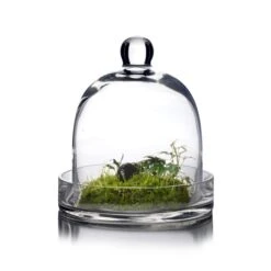 Glass Bell Dome Cloche With Glass Tray Base, H-8" D-7" (Wholesale 4 PCS/Case)
