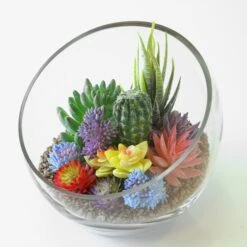 Glass Slant Cut Pod Terrarium Bowl, H-6.25" W-6.75" (Wholesale 8 PCS/Case)