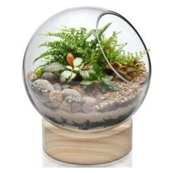 Glass Bubble Bowl With Wood Base, H-8.5" W-7" (Wholesale 6 PCS/Case)