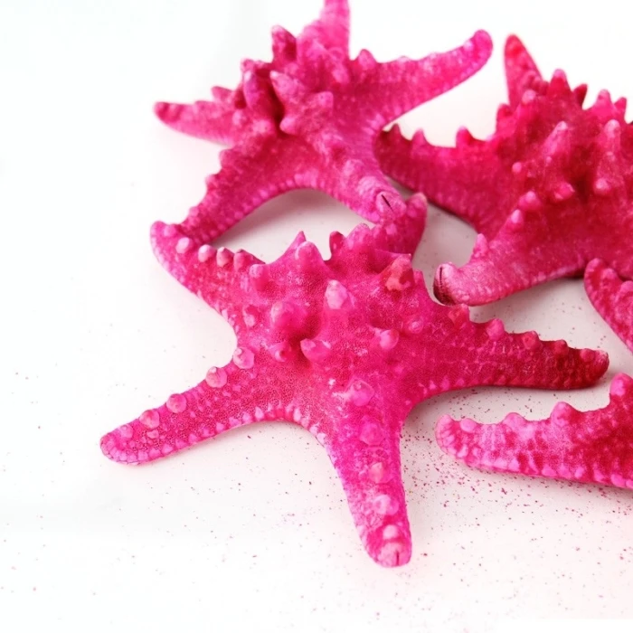 Fuchsia Pink Knobby Textured Starfish, 5"-7" (Wholesale 48 PCS/Case) - Image 2