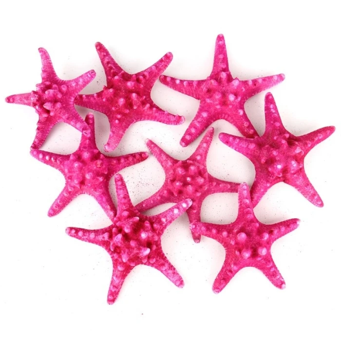 Fuchsia Pink Knobby Textured Starfish, 5"-7" (Wholesale 48 PCS/Case)