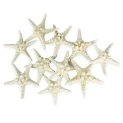 White Knobby Textured Starfish, 5"-7" (Wholesale 48 PCS/Case)