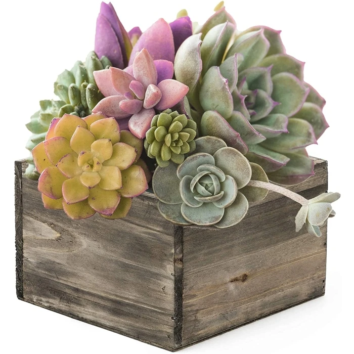 Wood Square Planter Box With Plastic Liner, 6" X 6" X 4" (Wholesale 24 PCS/Case) - Image 5